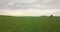 Aerial drone shot moving backward very  low over a field of green grass with clouds near sunset