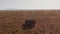 Aerial drone shot of Wildlife Photographer Driving Safari Vehicle in Maasai Mara National Reserve Sa