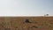 Aerial drone shot of Wildlife Photographer Driving Safari Vehicle in Maasai Mara National Reserve Sa