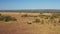 Aerial drone shot of Wildlife Photographer Driving Safari Vehicle in Maasai Mara National Reserve Sa