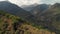 Aerial Drone shot of woman with dog at forest in the mountains in Kazakhstan