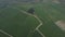 Aerial drone top down shot of green fields of indian farmers situated in New Delhi