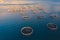 Aerial drone top view of sea fish farm cages and fishing nets, farming dorado, sea bream and sea bass, feeding the fish a forage,