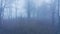 Aerial drone video of mysterious misty blue foggy Halloween woods with bare trees in mist in woodlan