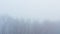 Aerial drone video of mysterious misty blue foggy woods with bare trees in mist in woodland in winte