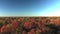 Aerial drone video panning way above the colorful trees in Autumn