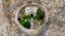 Aerial drone view of the Carta Monastery in Romania