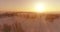 Aerial drone view of cold winter landscape with arctic field, trees covered with frost snow and morning sun rays over