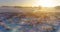 Aerial drone view of cold winter landscape with arctic field, trees covered with frost snow and morning sun rays over