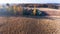 Aerial drone view of corn field after harvest and trees