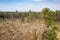 Aerial drone view of deforestation. illegal cutting of forest