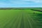 Aerial drone view of field, agriculture land.Green fresh crop