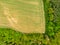 Aerial drone view of field, trees and forest in agriculture land. Top look to meadow near village and farm. Beautiful green fresh