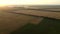 Aerial drone view flight over fields with different growing