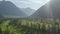 Aerial Drone View: Flight over pine tree forest and mountain river in sunset soft light. Mountain range in background