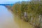 Aerial drone view flooded forest near Neuburg, Rhineland Palatinate