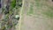 Aerial drone view footage about a green field, along a dirt road green bushes and trees, and a long railway track 4K