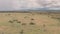 Aerial drone view of giraffe in African savanna and plains landscape in Laikipia