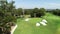 Aerial drone view golf course green with sand bunkers, flag, trees, green grass against blue sky