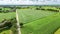 Aerial drone view of green fields and farm houses near canal, typical Dutch landscape, Holland, Netherlands