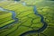 Aerial drone view of green landscape with canals