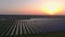 Aerial drone view into large solar panels at a solar farm at summer sunset. Solar cell power plants. footage video 4k.