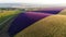 `Aerial drone view of a lavender field.