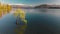 Aerial drone view of The Lonely tree of Lake Wanaka, New Zealand