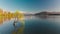 Aerial drone view of the lonely tree of Lake Wanaka, New Zealand