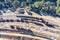 Aerial drone view of an old and rusty remains of the old copper mining