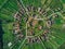 Aerial drone view over the round village of Charlottenburg, Timis, Romania