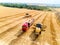 Aerial drone view. Overloading grain from combine harvesters into grain truck in field. Harvester unloder pouring