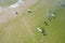 Aerial drone view of people surfing in the sea. Summer sport learning how to surf. Surfboarding in baltic sea Jastarnia, Poland