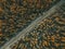 Aerial drone view of road in idyllic winter landscape. Street running through the nature from a birds eye view.