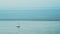 Aerial Drone View of Sailing Boat in the English Channel in the Solent, Isle of Wight, England, UK