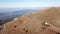 Aerial drone view of the Sanctuary on Linzone mountain, province of Bergamo. Cows are grazing near the church