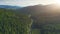 Aerial Drone View: Sunset over pine tree forest