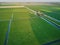 Aerial drone view of traditional Dutch windmill on field with grazing sheep and cows