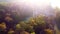 Aerial drone view trees with yellow leaves, a lake with ancient architecture