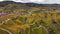 Aerial drone view valley vineyards for wine production grape terraces in autumn sunset. Southern Germany wine region