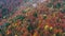 Aerial Drone View: Vivid autumn natural landscape. Among mountains and colorful trees with haze above