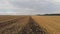 Aerial drone view of white storks feeding on plowed by tractor agricultural field.