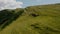 Aerial drone view. wild horses on the green mountains In background rock and blue sky. V3