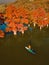 Aerial drone view with woman on SUP board in lake with autumnal Taxodium trees