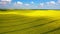 Aerial Drone view of Yellow Canola Field. Harvest blooms yellow flowers canola oilseed. Rural field planted with many