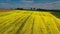 Aerial drone view of yellow rapeseed fields in German countryside.