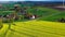 Aerial drone view of yellow rapeseed fields in German countryside.