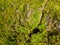 Aerial drop down view of forest waterfall falling into pond.