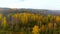 Aerial early cold sunny autumn morning woodland scenery