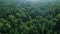 Aerial ecological green rainforests forest morning beautiful shot. Ideal background for forest conservation, save